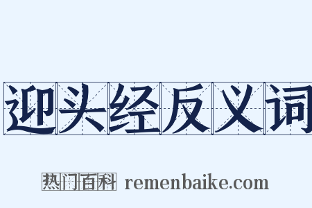 迎头经反义词是什么意思的图片